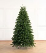 Fraser Fir Trees - Image 3